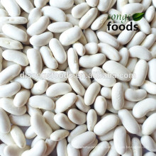 High Quality Long Shape Price Of White Kidney Beans